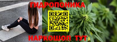 ешки Новозыбков