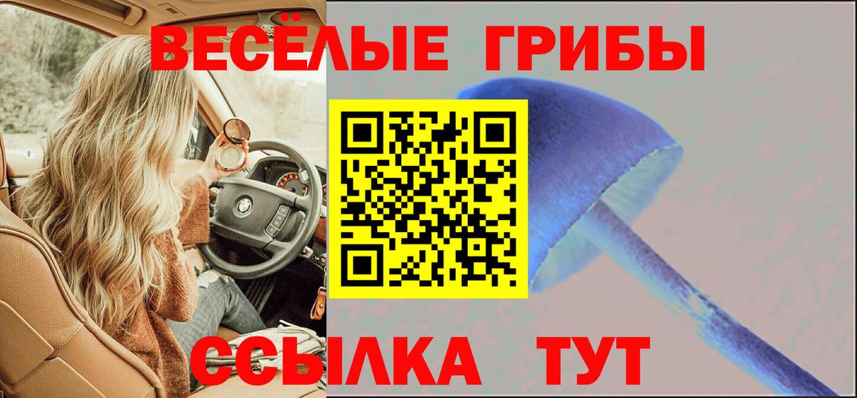Псилоцибиновые грибы Psilocybe Обнинск