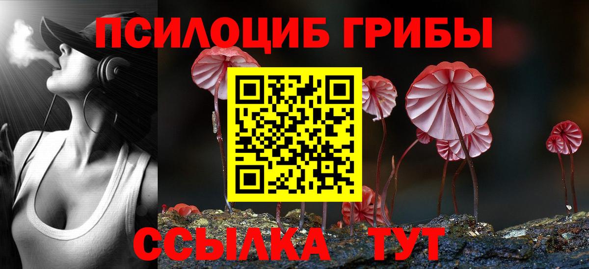 купить наркотик  Вход с VPN  Обнинск  Галлюциногенные грибы ЛСД  Псилоцибиновые грибы Psilocybine cubensis 